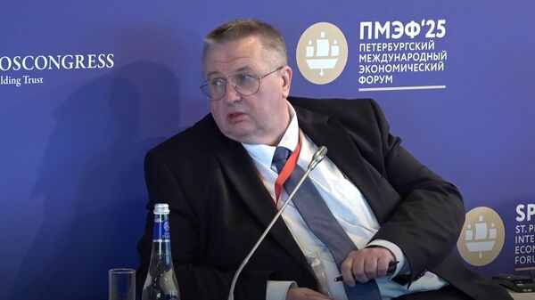 Зампредседателя правительства РФ Алексей Оверчук на панельной сессии ПМЭФ (20 июня 2025). Санкт-Петербург - Sputnik Армения