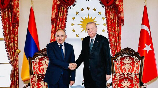 Փաշինյանի և Էրդողանի հանդիպումը Ստամբուլում - Sputnik Արմենիա
