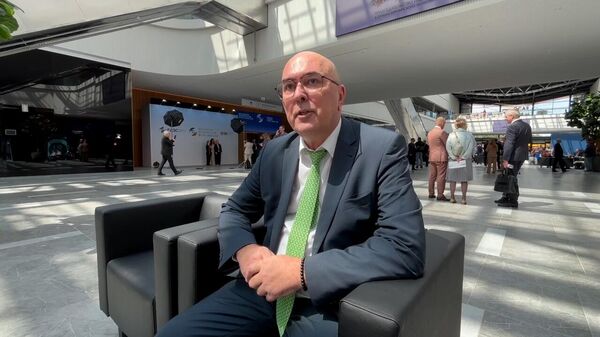 Директор Департамента макроэкономической политики ЕЭК про перспективы Армении в случае выхода из  ЕАЭС - Sputnik Армения