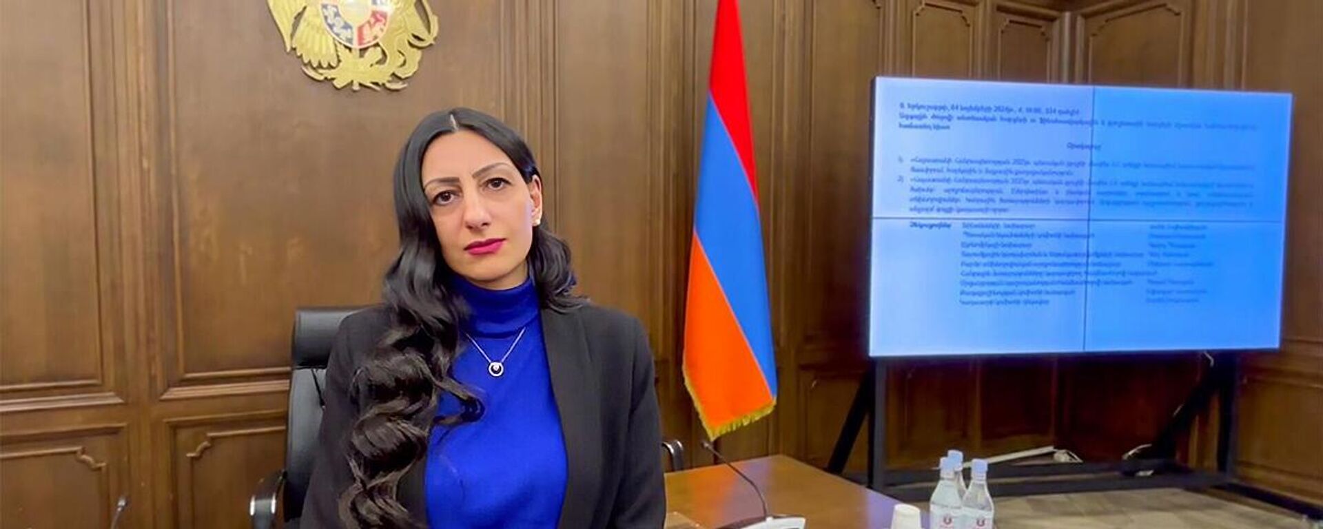 Омбудсмен Анаит Манасян отвечает на вопросы корреспондента Sputnik Армения (29 октября 2024). Еревaн - Sputnik Армения, 1920, 29.10.2024