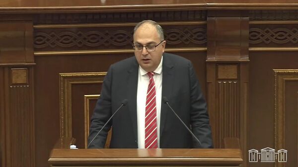 Не надо было строить государство в государстве, в этом я с вами согласен, мы запоздали - Владимир Варданян об ЭСА - Sputnik Армения