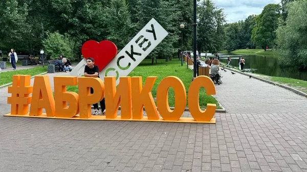 Праздник Абрикос в Москве - Sputnik Армения