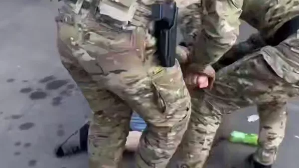 Силовики пресекли деятельность пособников спецслужб Украины в ДНР, Ярославской и Липецкой областях - Sputnik Армения