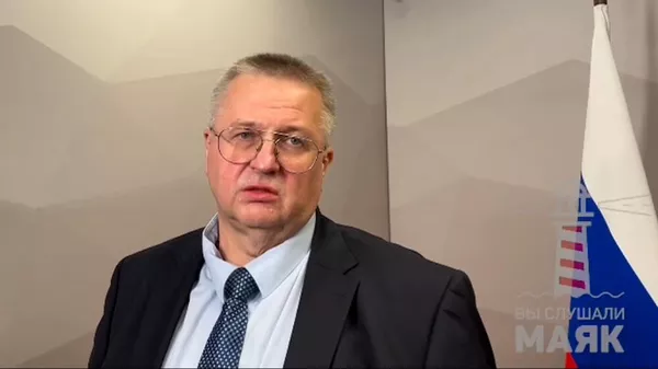 Оверчук: Армения настроена продолжать работу в ЕАЭС - Sputnik Армения