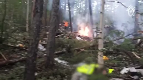 Кадры с места крушения Ан-24 и видео обысков в организациях воздушного транспорта - Sputnik Армения