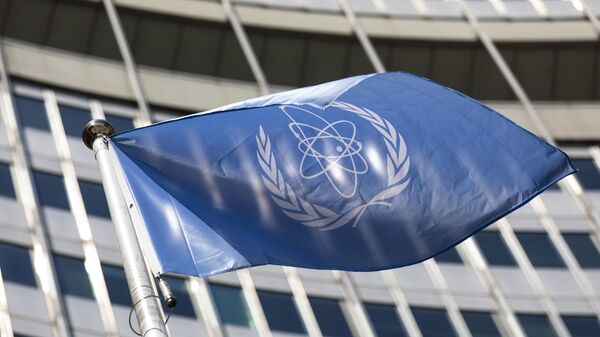 ՄԱԳԱՏԷ-ի դրոշը - Sputnik Արմենիա