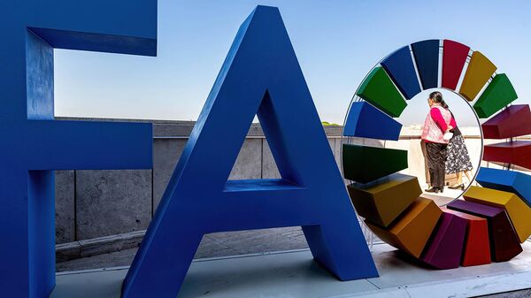 FAO - Sputnik Արմենիա