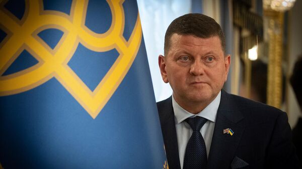 Бывший главнокомандующий ВСУ и посол в Великобритании Валерий Залужный наблюдает за встречей министра иностранных дел Великобритании и президента Украины (5 февраля 2025). Киев - Sputnik Армения