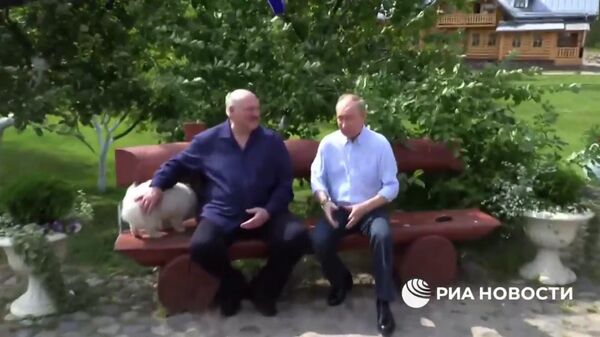 Оцениваю в целом положительно: заявление Путина с оценкой прошедших раундов переговоров с Украиной в Стамбуле - Sputnik Армения