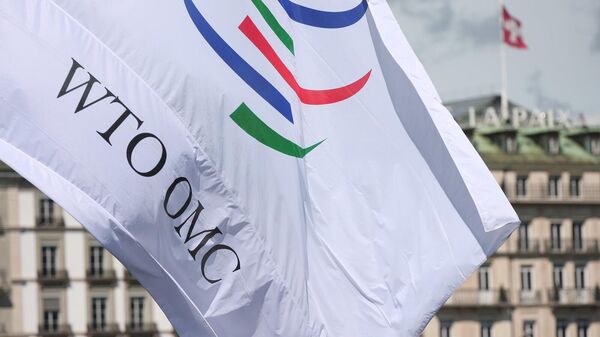Флаг с символикой Всемирной торговой организации - Sputnik Армения