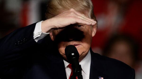 Избранный президент США Дональд Трамп выступает во время митинга (15 декабря 2016). Пенсильвания - Sputnik Армения