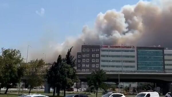 Թուրքիայի իշխանությունները հրդեհների պատճառով փակել են Դարդանելի նեղուցը - Sputnik Արմենիա