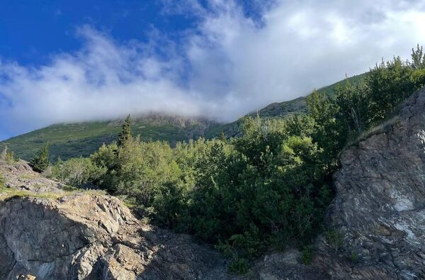 Ալյասկայի Անքորիջ քաղաքի շրջակայքը - Sputnik Արմենիա