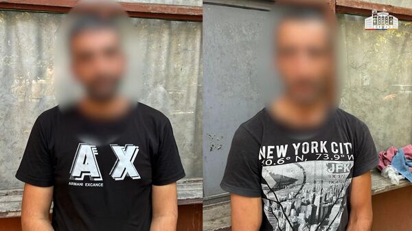 Թմրամիջոցով փաթեթներ տեղադրող տղամարդիկ կալանավորվել են - Sputnik Արմենիա