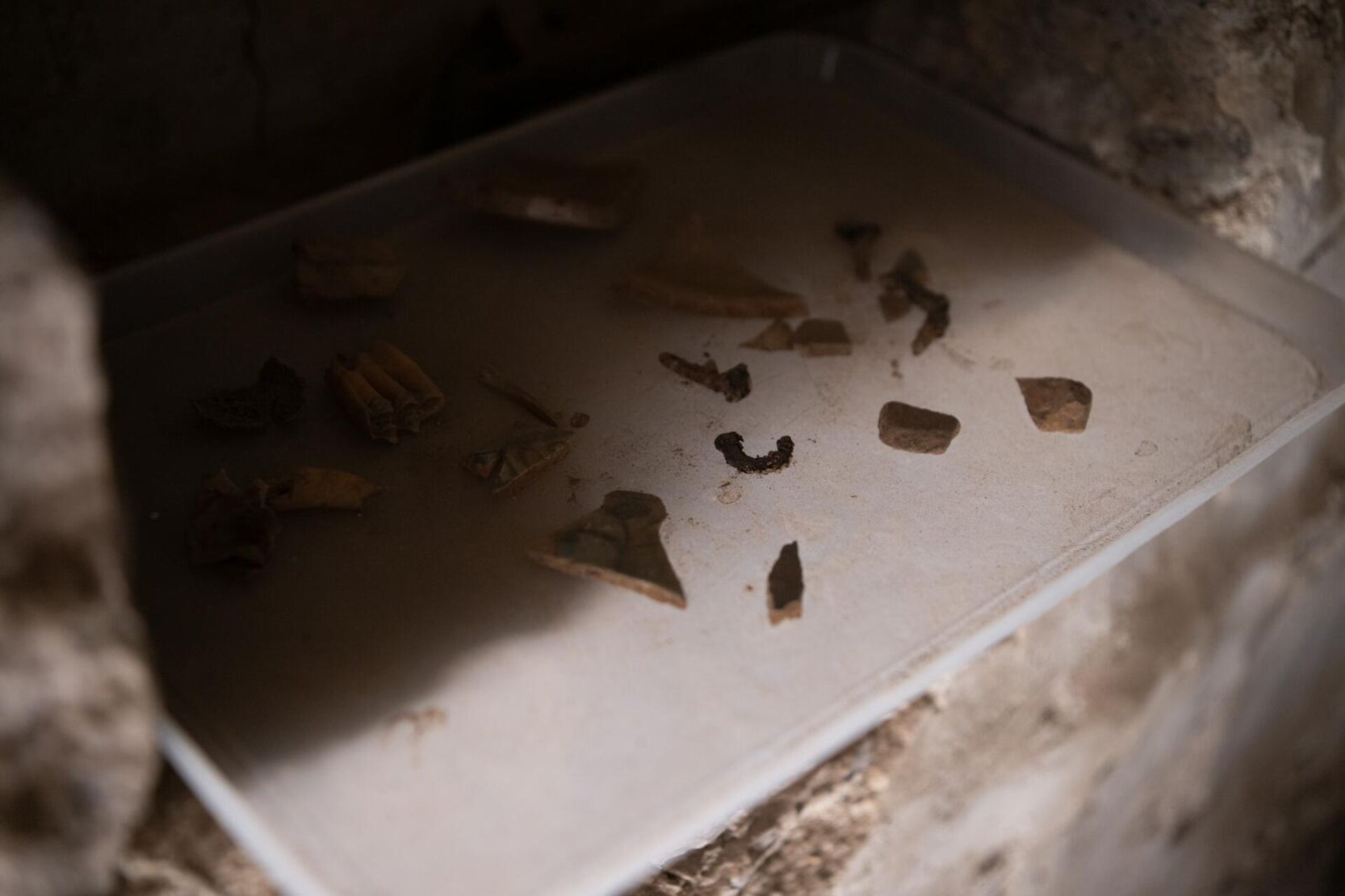 Участники археологической группы во время работы на территории Татевской пустыни - Sputnik Արմենիա, 1920, 14.08.2025