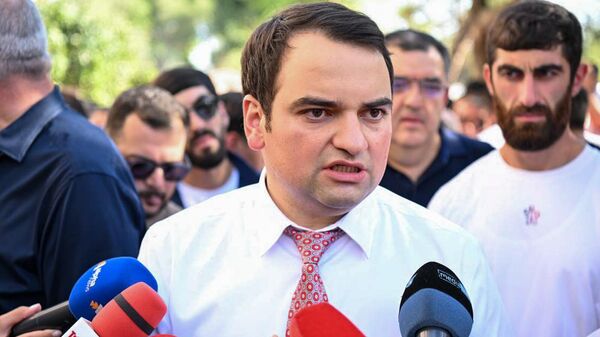 Նարեկ Կարապետյան - Sputnik Արմենիա