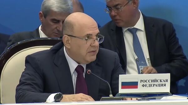 Премьер-министр РФ Михаил Мишустин на заседании межправсовета ЕАЭС - Sputnik Արմենիա