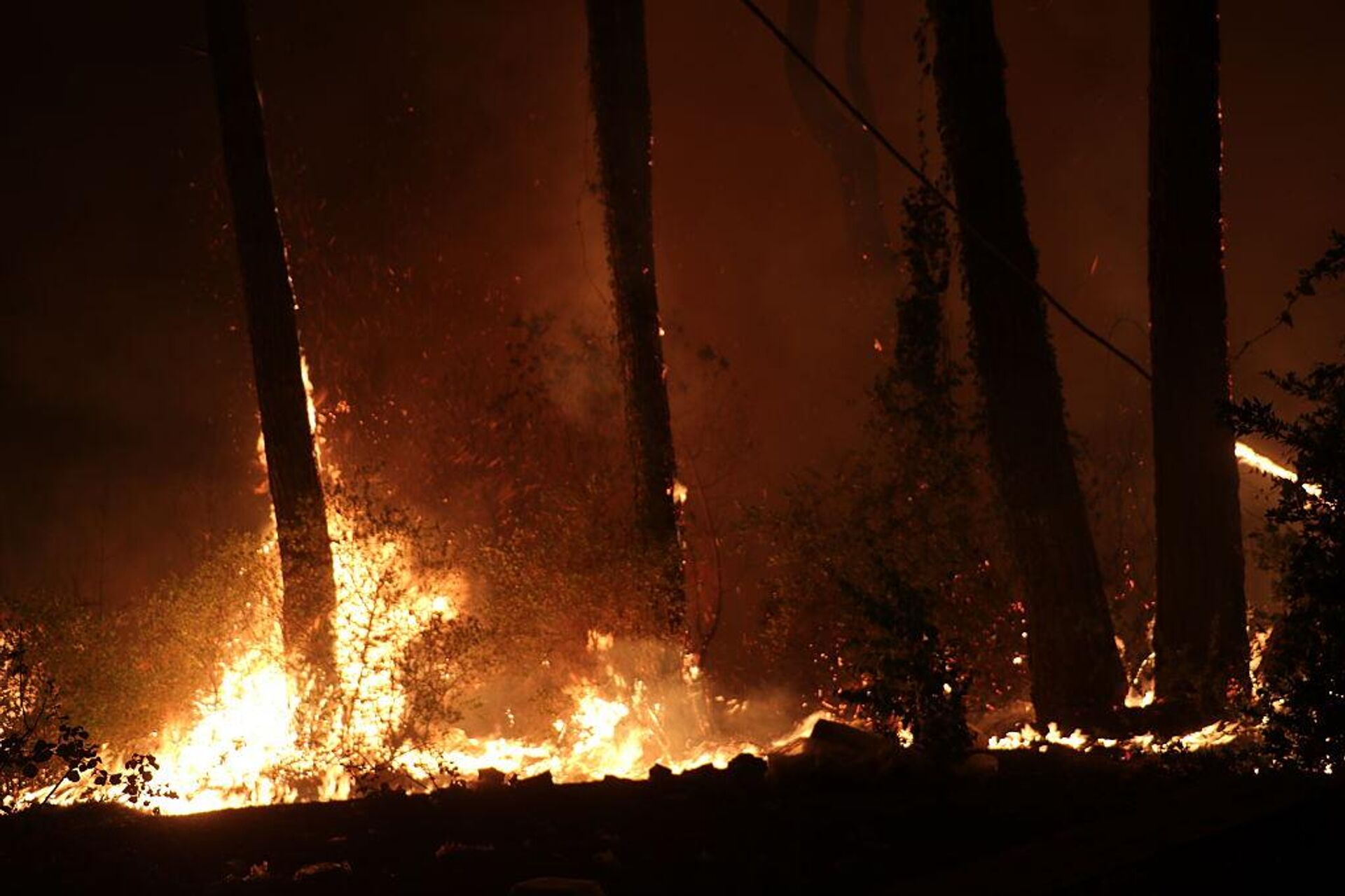 Лесные пожары в Кессабе и соседних городах Сирии - Sputnik Արմենիա, 1920, 15.08.2025