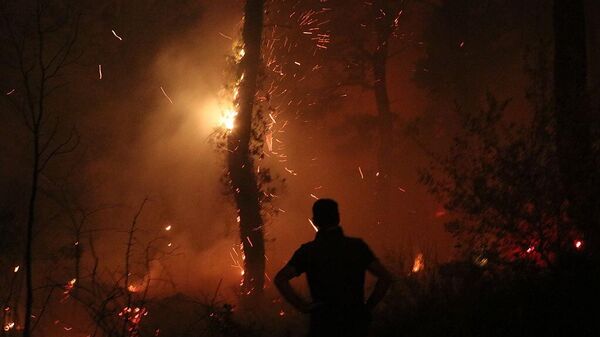 Лесные пожары в Кессабе и соседних городах Сирии - Sputnik Армения