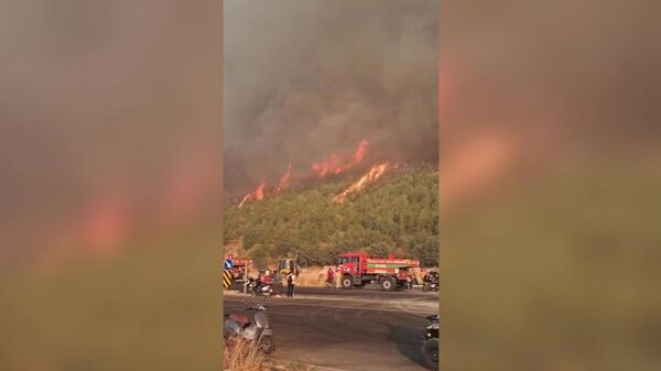 Масштабные лесные пожары в Турции - Sputnik Արմենիա