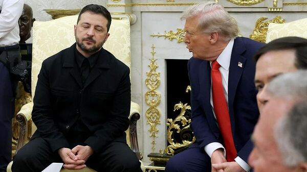 Դոնալդ Թրամփիև Վլադիմիր Զելենսկու հանդիպումը - Sputnik Արմենիա