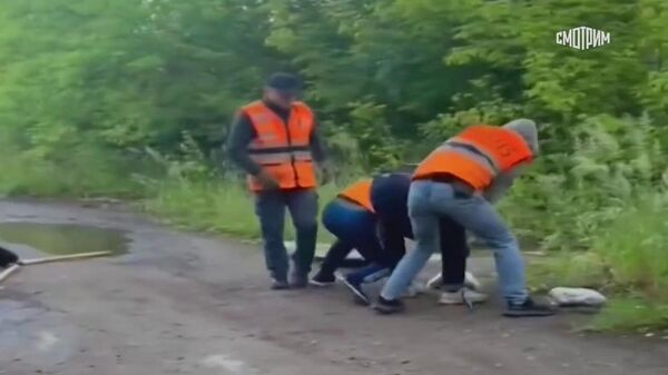 ФСБ России показала кадры задержания в Удмуртии подозреваемого в подготовке теракта - Sputnik Армения