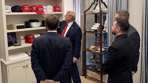 Հանդիպում Վաշինգտոնում - Sputnik Արմենիա