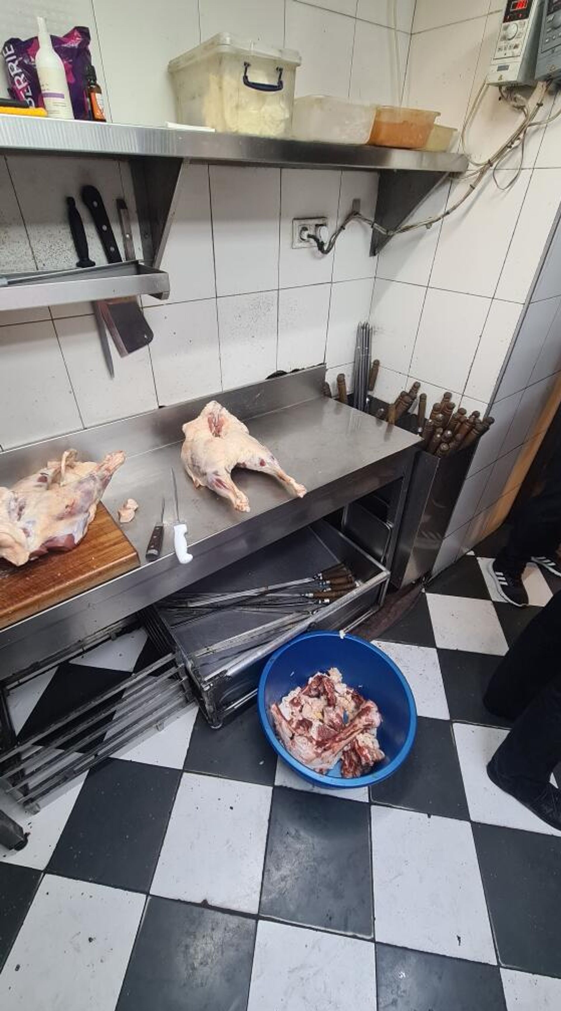 Нарушения санитарных норм на предприятии общественного питания Арташи мот, принадлежащем ООО Ван-2000 в Ереване - Sputnik Արմենիա, 1920, 22.08.2025