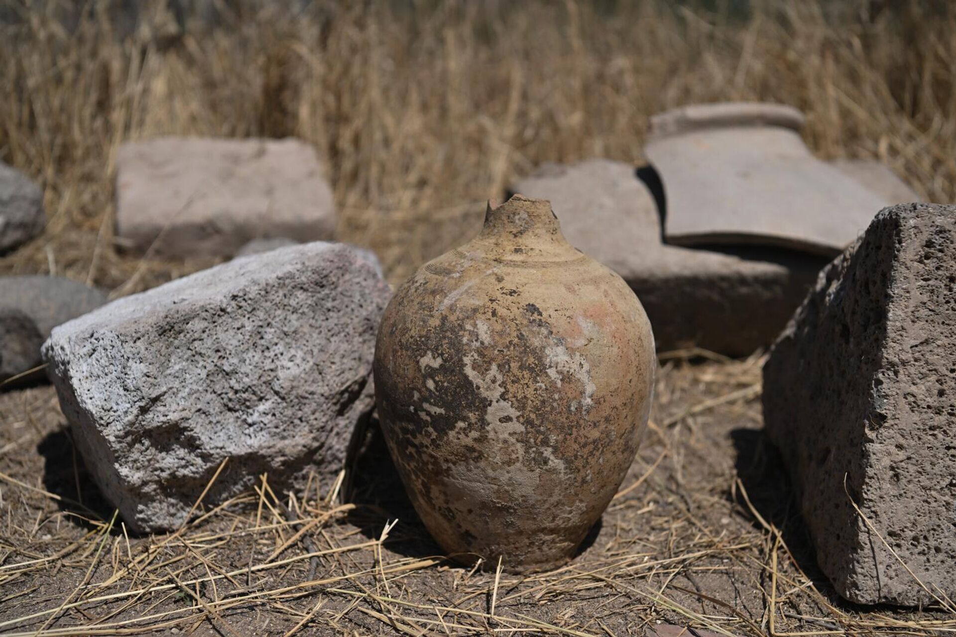 Раскопки в крепости Багаберд в Сюнике - Sputnik Армения, 1920, 22.08.2025