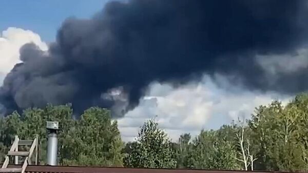 Пожар на птицефабрике в Челябинской области - Sputnik Արմենիա