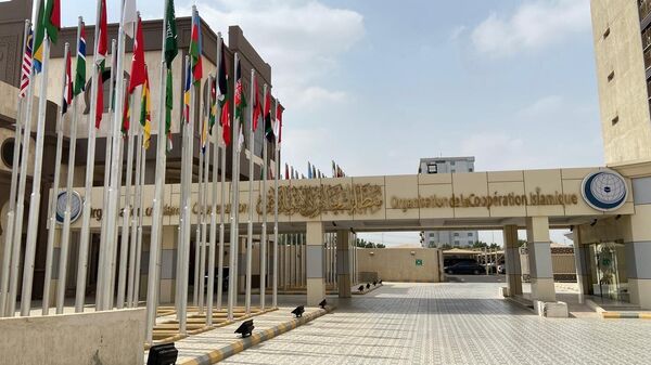 Իսլամական համագործակցության կազմակերպության անդամ երկրների դրոշներ - Sputnik Արմենիա