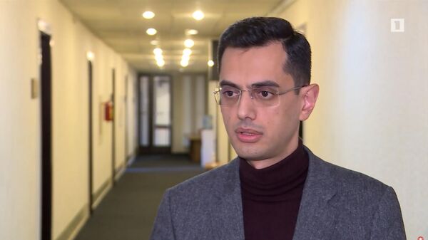 Глава офиса представителя по международно-правовым вопросам Липарит Дрмеян - Sputnik Армения