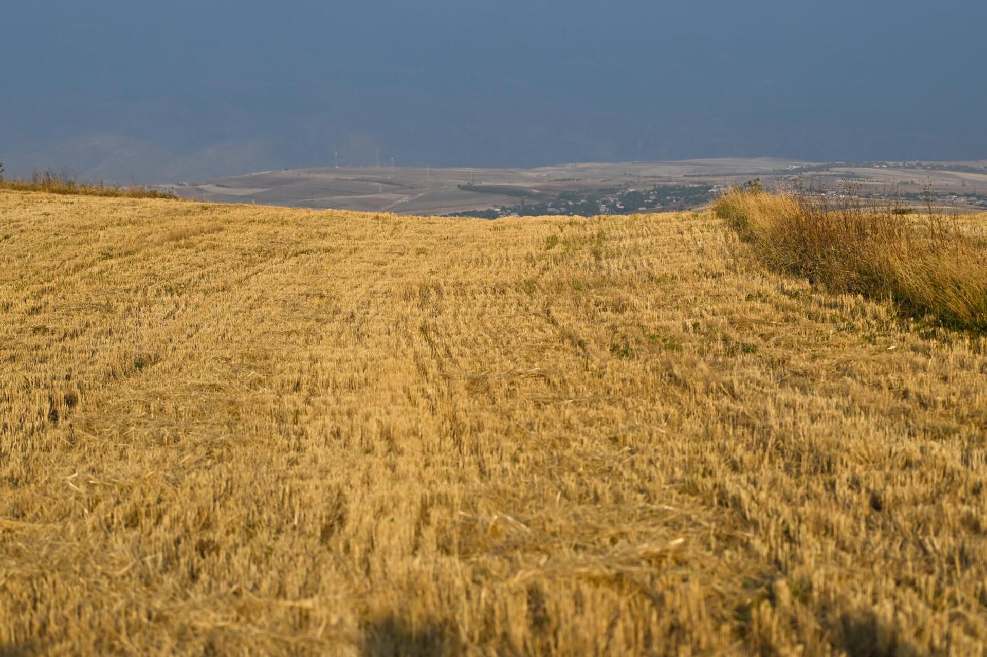 Пахотная земля у села Хнацах - Sputnik Армения, 1920, 31.08.2025