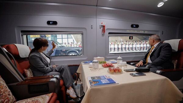 Աննա Հակոբյանն ու Նիկոլ Փաշինյանը - Sputnik Արմենիա