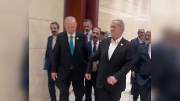 Президенты Ирана и Турции провели тёплые переговоры в Китае - Sputnik Армения