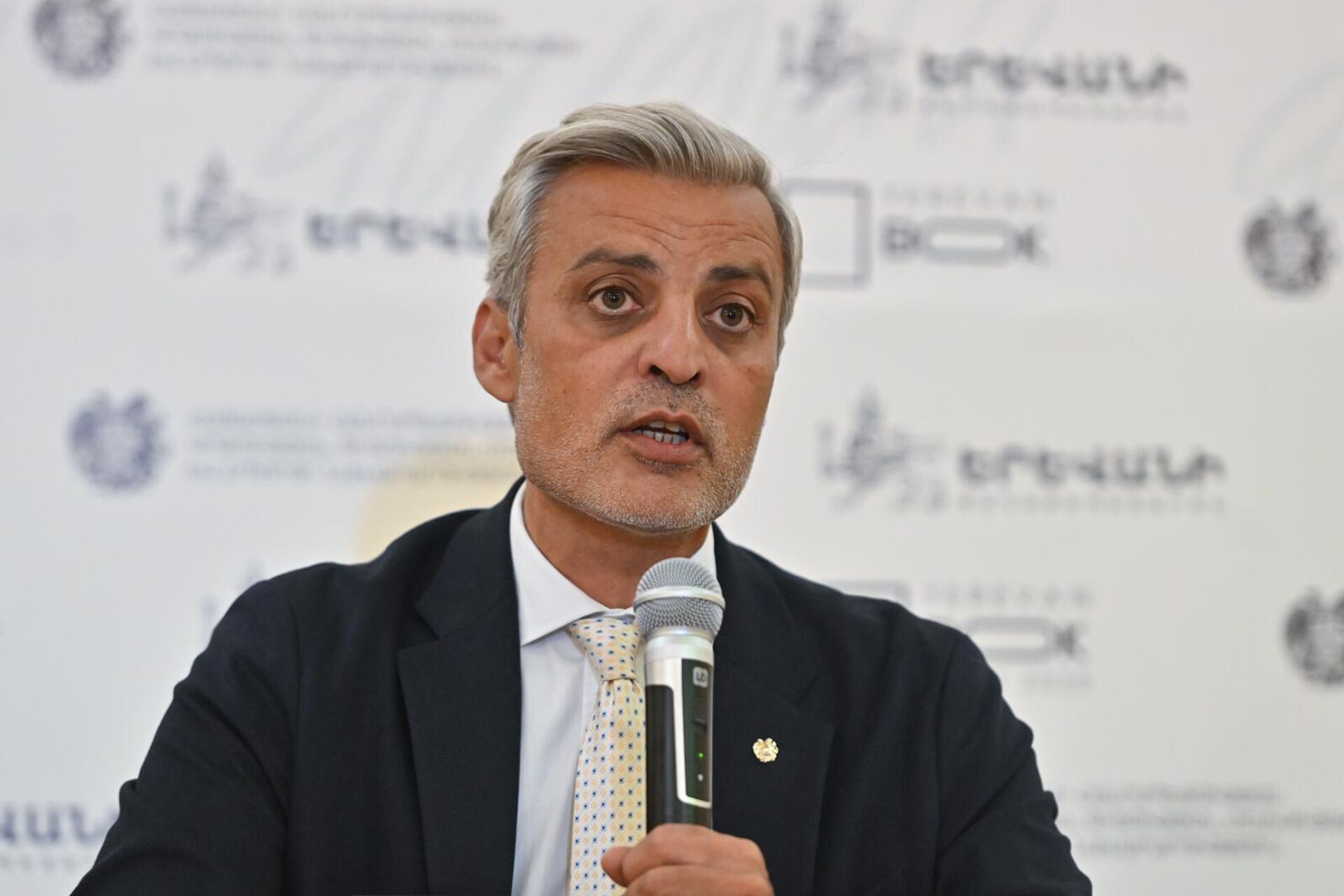 Замминистра ОНКС Даниел Даниелян на пресс-конференции, посвященной 8-му Ереванскому международному книжному фестивалю (3 сентября 2025). Еревaн - Sputnik Армения, 1920, 03.09.2025