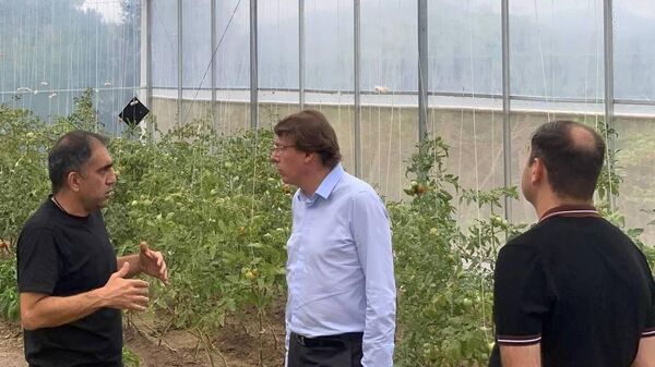 Сотрудники передовой группы МИД России по открытию Генконсульства в Капане вместе с руководителем программы ПРООН Устойчивые сообщества А.А.Валесяном и координатором ПРООН в Сюникской области К.А.Акопяном ознакомились с реализацией ряда проектов, осуществляемых ПРООН в регионе за счет российского финансирования (4 сентября 2025). Сюник - Sputnik Армения