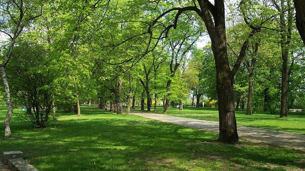 Лесопарк Летна в центре Праги - Sputnik Армения