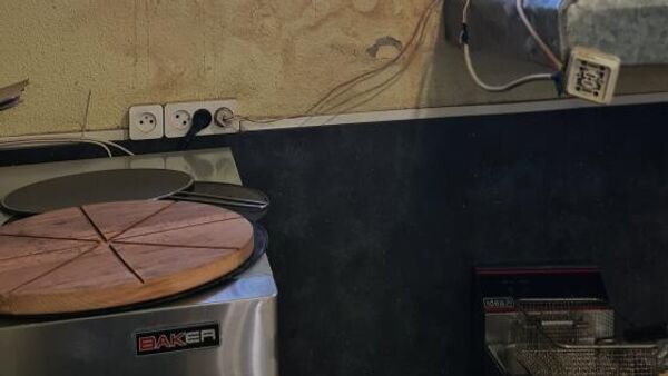 Անհատ ձեռնարկատեր Անդրանիկ Խաչատրյանին պատկանող արտադրամասը - Sputnik Արմենիա