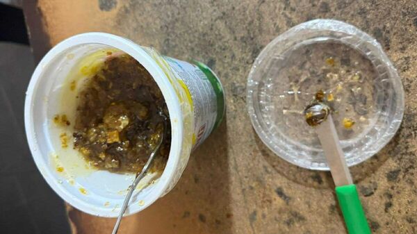 «Արմավիր» ՔԿՀ-ում փորձել են թմրամիջոցը թաքցնել մեղրի մեջ - Sputnik Արմենիա