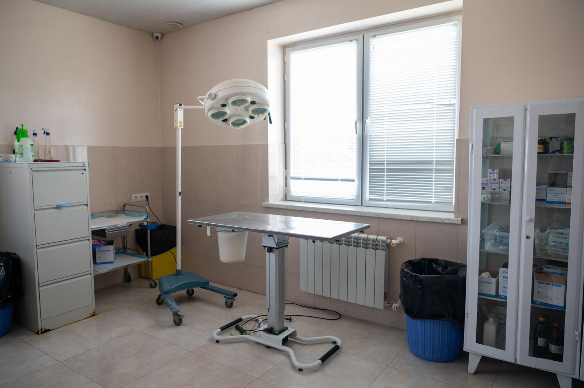 Кабинет в НКО Центр по уходу за животными - Sputnik Արմենիա, 1920, 19.09.2025