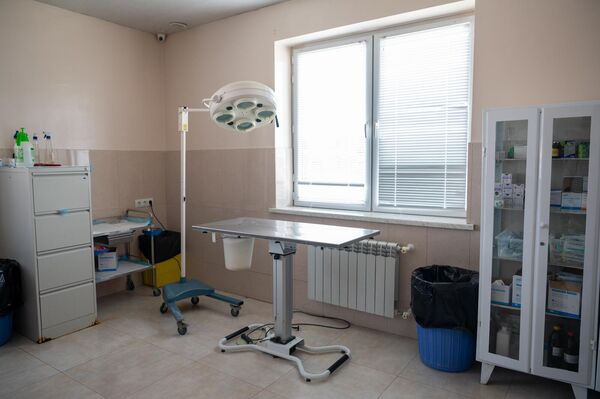 Кабинет в ГНКО &quot;Центр по уходу за животными&quot; - Sputnik Армения