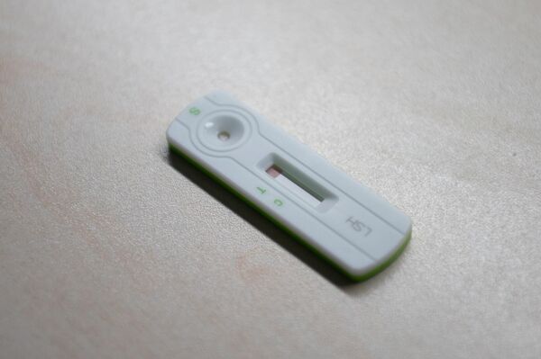 ГНКО &quot;Центр по уходу за животными&quot; - Sputnik Армения