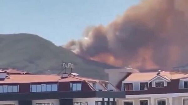 Огонь в турецкой Аланье подбирается к побережью - Sputnik Армения