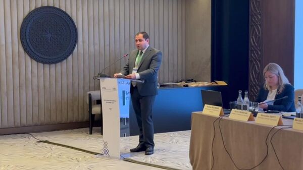 ՀՀ ՊՆ–ն  խորհրդատվական օժանդակություն է ստանում Ֆրանսիայից և ԱՄՆ-ից. Սուրեն Պապիկյան - Sputnik Արմենիա