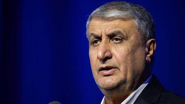 Глава Организации по атомной энергии Ирана (ОАЭИ) Мохаммад Эслами - Sputnik Армения