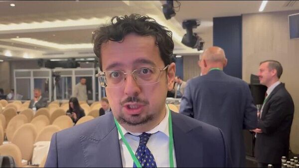 Խաղաղության պայմանագրի ստորագրմանը խանգարում է ՀՀ Սահմանադրությունը. ադրբեջանցի փորձագետ - Sputnik Արմենիա