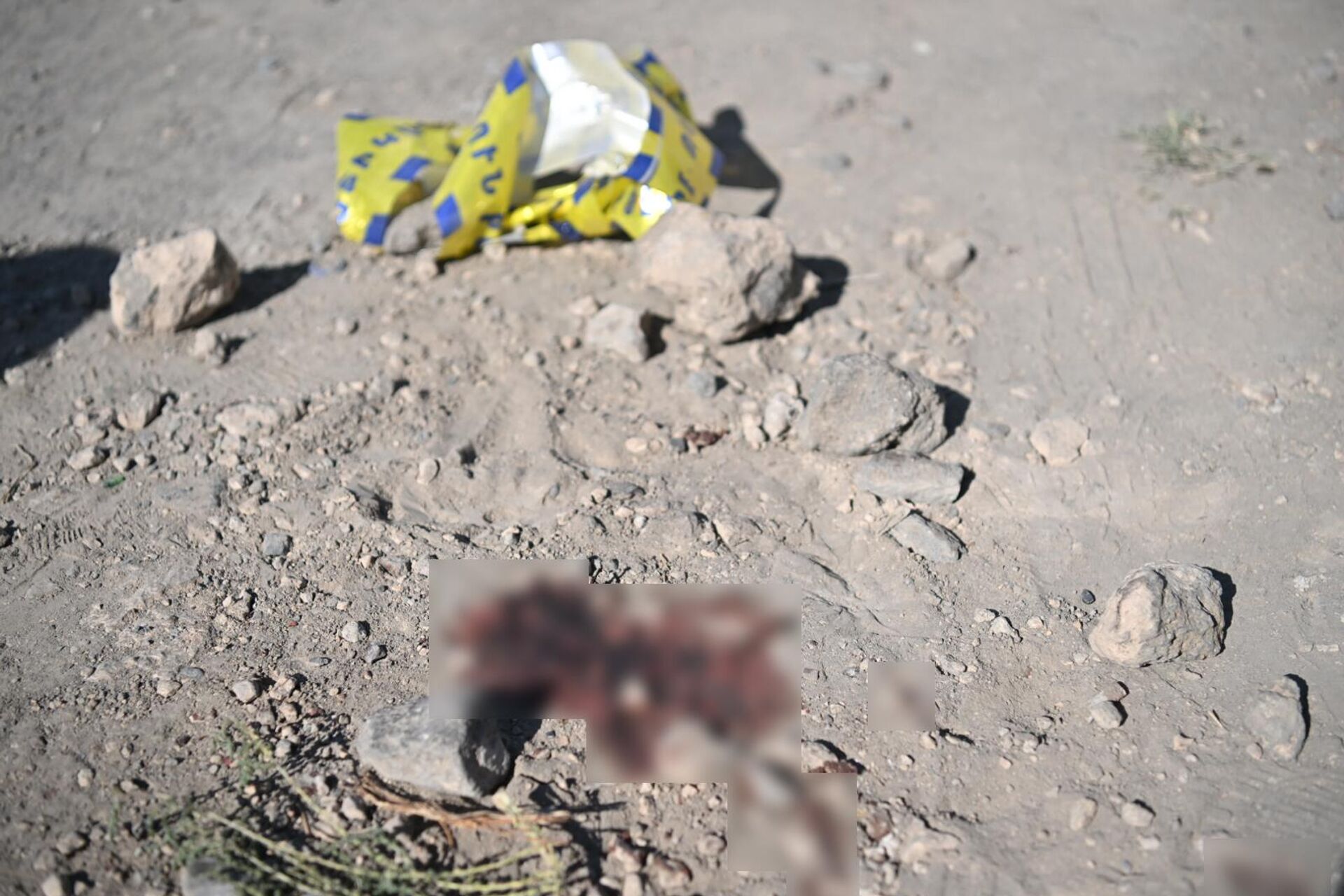 Пятна крови на месте убийства главы общины Паракар Володи Григоряна (24 сентября 2025). Мердзаван - Sputnik Армения, 1920, 24.09.2025