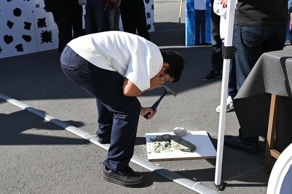 «Գիտության շաբաթ» փառատոն - Sputnik Արմենիա