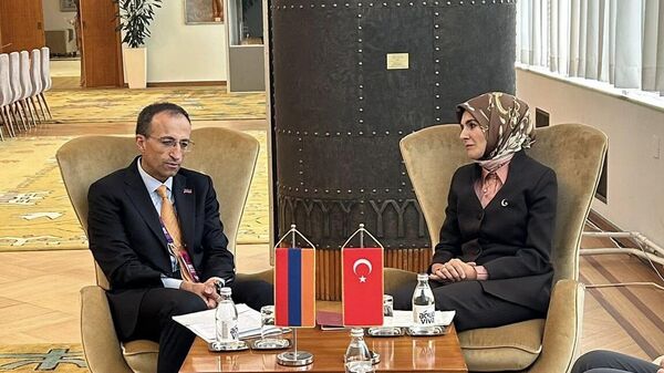 Արսեն Թորոսյանն ու Մահինուր Օզդեմիր Գյոքթաշը - Sputnik Արմենիա